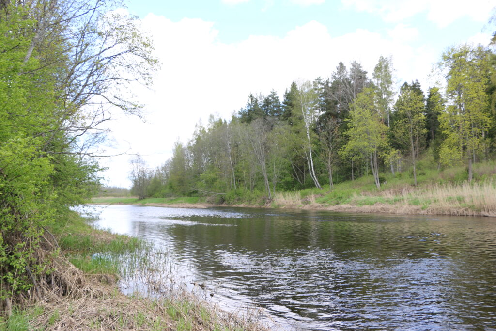 Pärnu jõgi kevadel